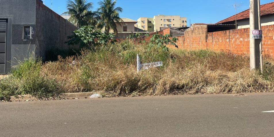 TERRENO MURADO NOVO AEROPORTO