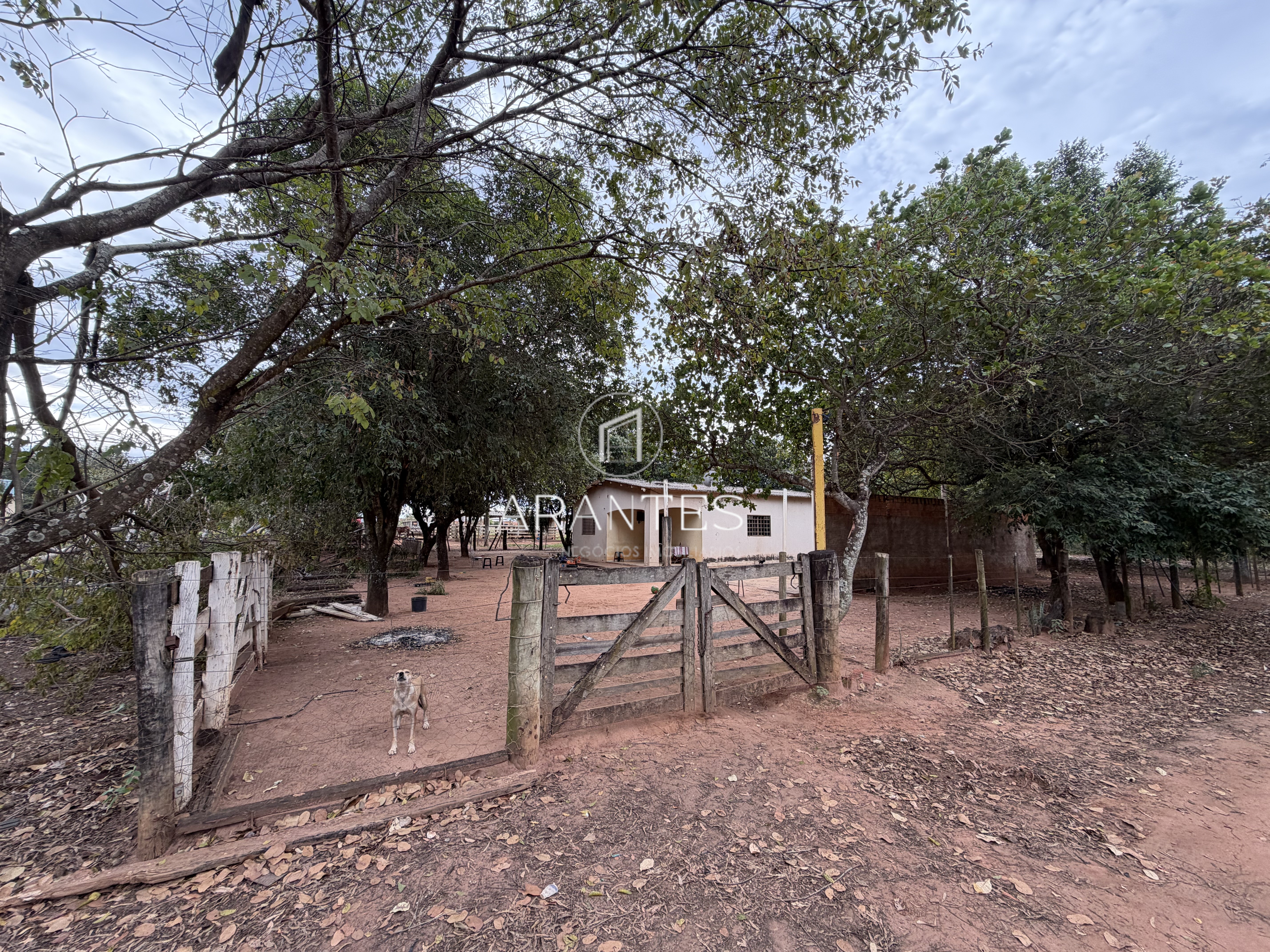 OPORTUNIDADE VENDA ÁREA 18.000m2 NO MONTANINI